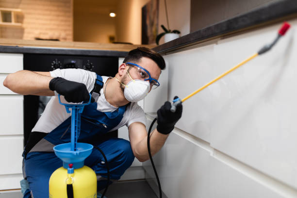Best Pest Control Near Me in Fairdale, PA
