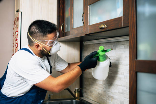 Best Best Pest Control Companies  in Fairdale, PA