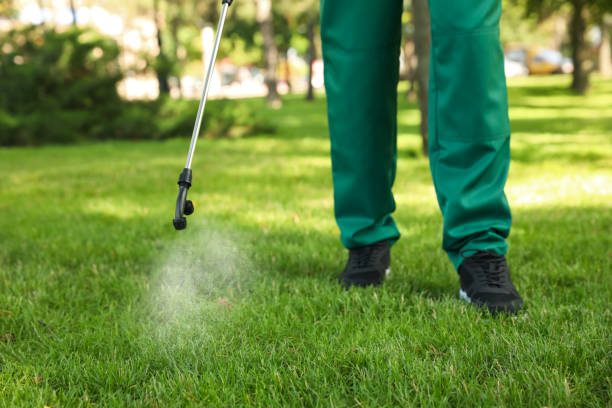 Best Residential Pest Control  in Fairdale, PA