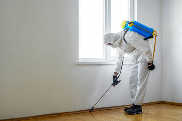 Best Pest Removal Services  in Fairdale, PA