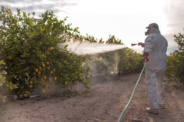 Best Pest Control Near Me  in Fairdale, PA