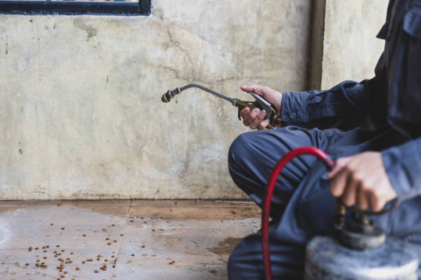 Best Affordable Pest Control Services  in Fairdale, PA